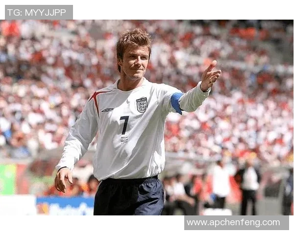 2007年足球明星风采回顾：谁是那一年最耀眼的球场英雄